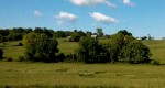 Crop circle appears in rural Tennessee