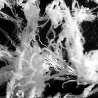Angel Hair falling from the heavens or UFOs?