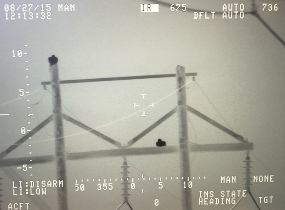 Thermal image of birds using a system similar to one used by the CBP. Image provided by Dave.