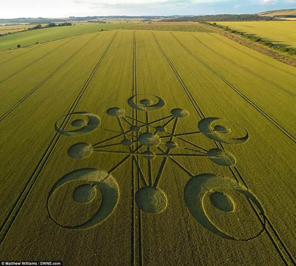 An image of the crop circle found near Blandford Forum in the county of Dorset in South West England. (Credit: Mathew Williams/SWNS.com)