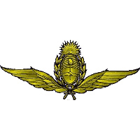 Argentinean Air Force Announces Creation of UFO Commission