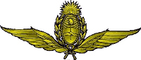 Argentinean Air Force (AAF) Logo