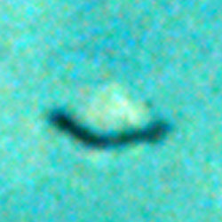 UFO Photographs from Kauai, Hawaii