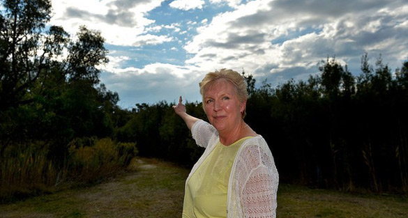 Joy Clarke Westall 66 UFO Witness