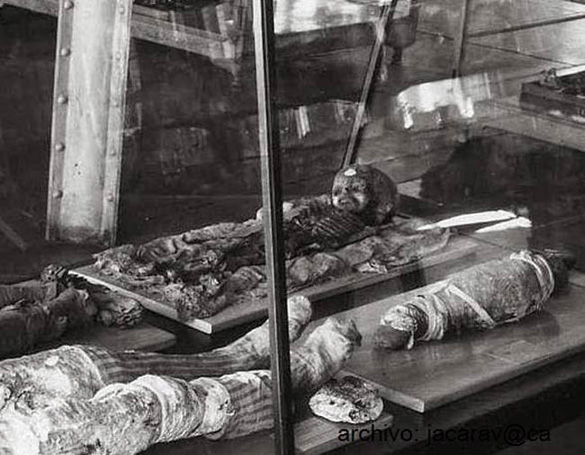 Thebes mummy image acquired by Isaac Koi. (Credit: The Wistar Institute)