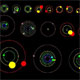 Kepler discovers 26 more alien worlds