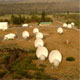 SETI on hold