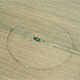 Professor says aliens likely responsible for crop circles