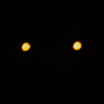 Flares over the Barry Goldwater Range