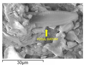 Mainstream science rejects team’s restated claim of ET life