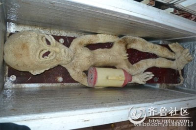 The alleged alien in the freezer.