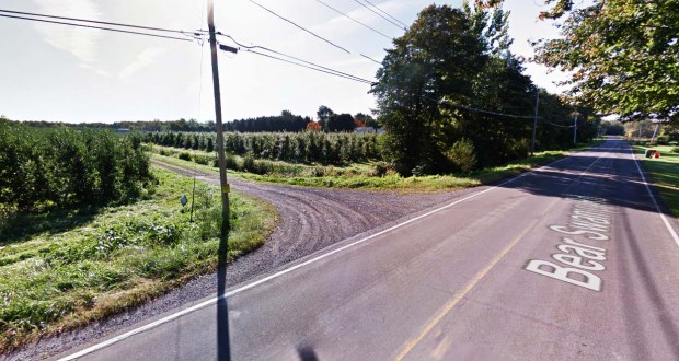 Family members at Williamson, New York, were shocked when they saw a UFO in nearby trees on September 27, 2014. Pictured: Williamson, New York. (Credit: Google)