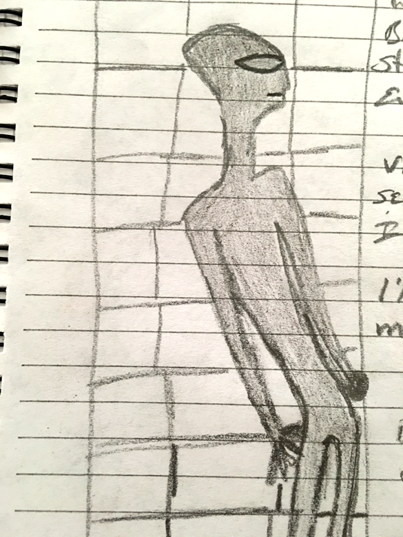 Witness sketch of the alien. (Credit: MUFON)