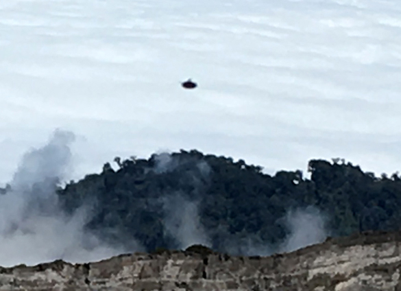 Cropped and enlarged portion of witness image. (Credit: MUFON)