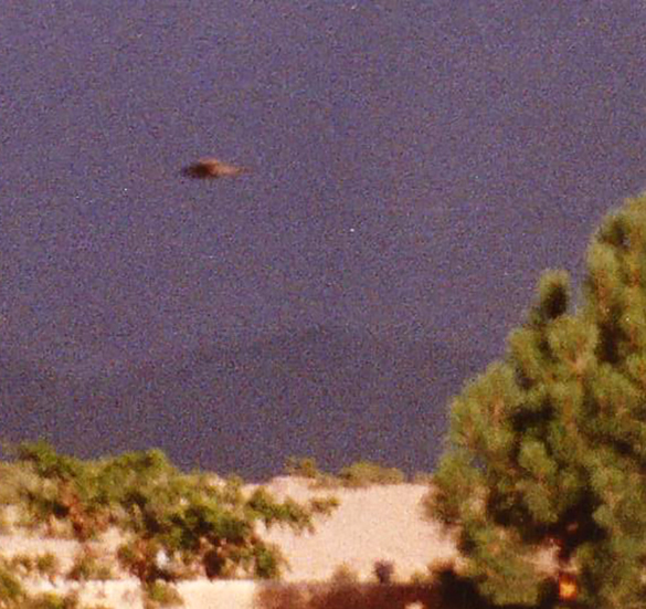 Cropped and enlarged version of the witness photo. (Credit: MUFON)