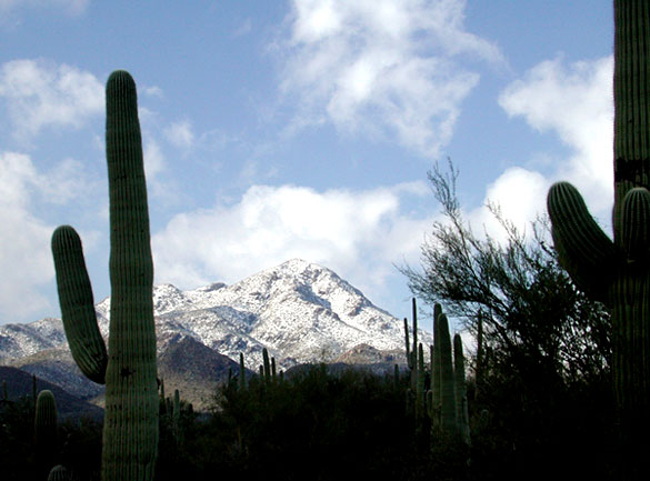 The objects appeared at the same time the Trident missile was launched, but the UFOs were seen in a different direction. Pictured: Snow on Wasson Peak near Tucson. (Credit: Wikimedia Commons)