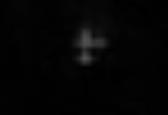 Cropped and enlarged version on Witness Image 4. (Credit: MUFON)