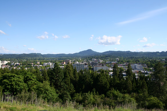 Downtown Eugene as seen from Skinner Butte. (Credit: Wikimedia Commons)