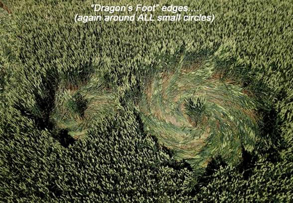 Again, in this 3rd July 21st formation, all of the smaller circles had "Dragon's Foot" edges. Photo: Roy Boschman
