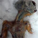Video reportedly shows dead alien in Siberia