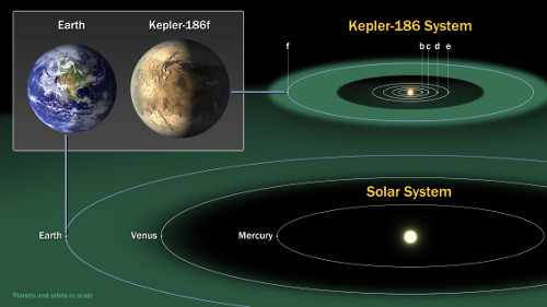 Comparison of the planets of our inner solar system to those in Kepler-186. (Credit: NASA Ames/SETI Institute/JPL-Caltech)