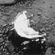 Did a Russian scientist find life on Venus?