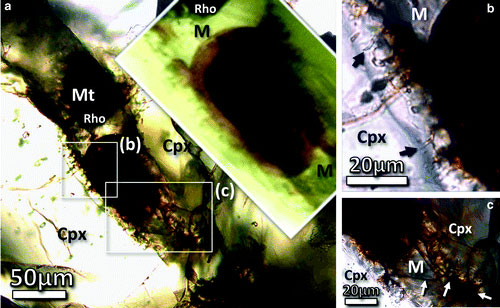 Transmitted light photomicrographs of the odd structure. (Credit: Astrobiology)