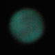 Ontario man photographs large ball UFO