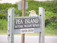 pea_island