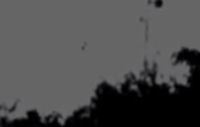 Playa del Carmen UFO