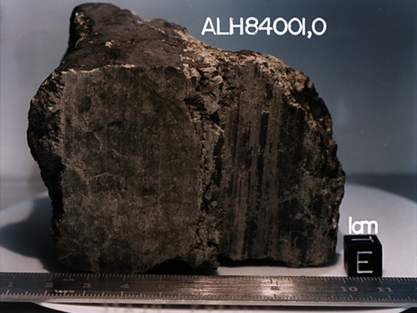 The ALH84001 meteorite, which in a 1996 Science publication was speculated to be host to what could be ancient Martian fossils. That finding is still under dispute today. (Credit: NASA/JSC/Stanford University)