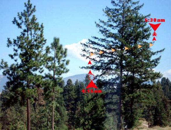 View from Mrs. Langin's window, looking East toward Black Mountain, approx. 8 miles away. Red arrows indicate locations where object was first & finally observed. Orange arrows show UFO's movement behind the tree. Photo: Sandra Langin.