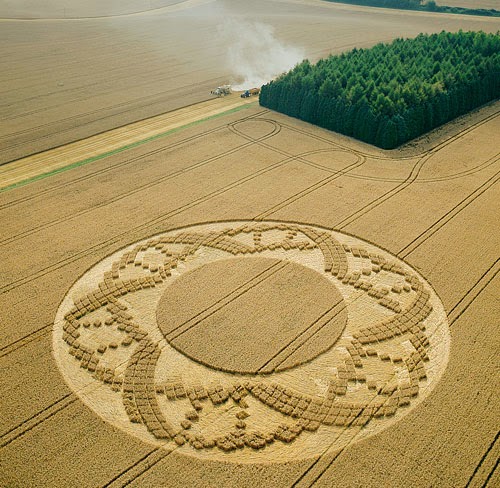 A crop circle formation near Crooled Soley in Berkshire, discovered in August 2002. (Copyright: Steve Alexander/temporarytemples.co.uk)