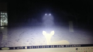 Mysterious lights captured on a trail cam. (Credit: Rainer and Edith Shattles/WLOX)