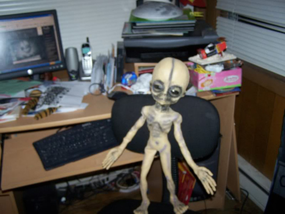 One picture of many of the alien from Kmart posted online.