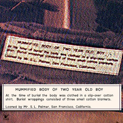 Deblurred placard with an illustration of what the original placard most likely looked like. (Illustration by Nippa Downey)