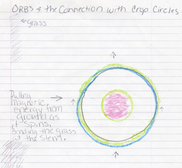 Drawing describing the formation of crop circles. (Credit: Chris Brown)