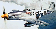 The F-51 was better known as the P-51 Mustang, made famous during WWII. 