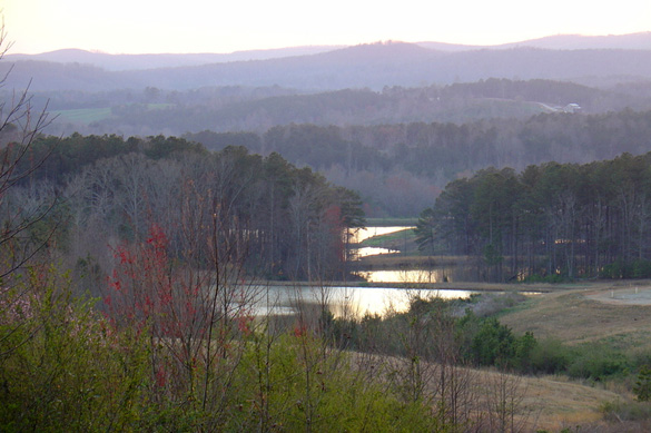 Alabama countryside near Ranburne. (Credit: Tim McWhorter)