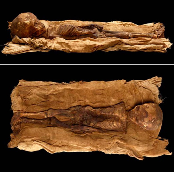 Two more images of the Thebes mummy found in Hunt's article. (Credit:Don Hurlbert, NMNH Department of Anthroplogy.)