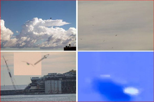 UFO and birds comparison. The UFO videod in Rome is on the bottom right. (Credit: C.UFO.M)