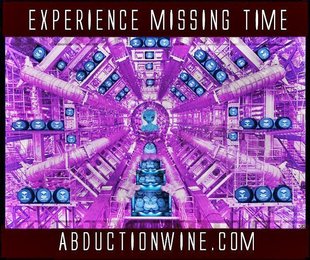 Abduction Wine - Experience Missing Time