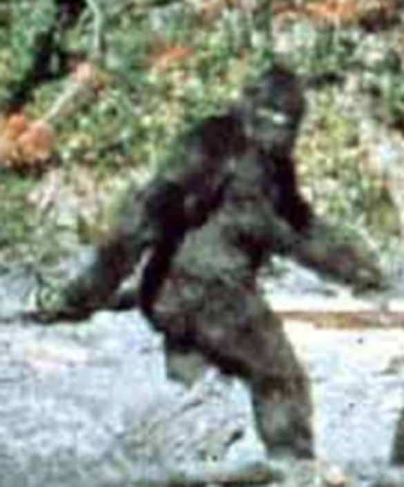 Still image from the Patterson-Gimlin footage of 1967.