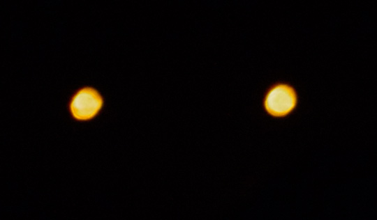 Close-up of flares from May3, 2011. (image credit: Alejandro Rojas)