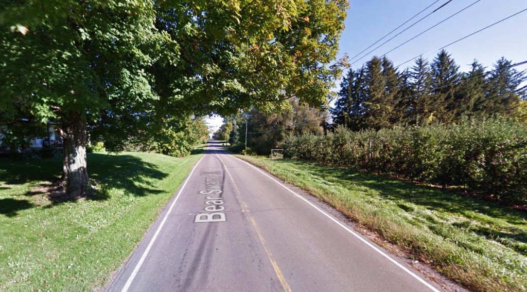 The object moved into a clearing before shooting up into the sky and disappearing. Pictured: Williamson, New York. (Credit: Google)