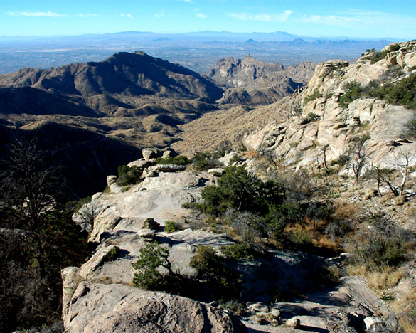 The objects appeared to be a dull gray, but shifted to a copper color. Pictured: A view of Tucson from Windy Point, at elevation 6,580 feet along the road up Mt. Lemmon. (Credit: Wikimedia Commons)