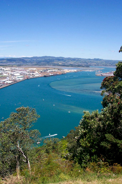 View over Greater Tauranga, taken from the top of Mauao. (Wikimedia Commons)