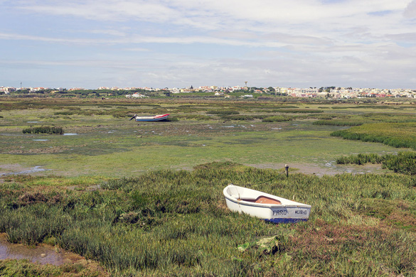 A boat stranded on the coast of Ria Formosa in Faro. (Credit: Wikimedia Commons)