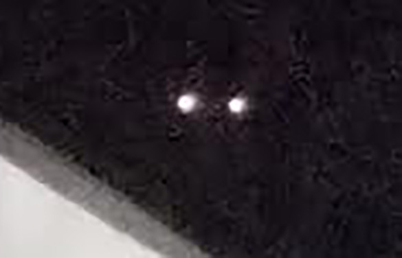 Cropped and enlarged portion of the witness photo. (Credit: MUFON)