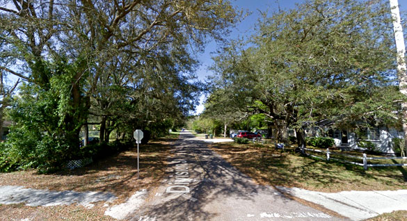 The creature looked directly at the witness. Pictured: Fernandina Beach, FL. (Credit: Google)